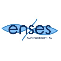 Enses Consultoría logo - Similar company to Centro Idearse