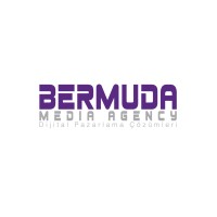 Bermuda Agency logo - Similar company to Nippy Creative