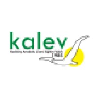 KALEV - Kadıköy Anadolu Lisesi Eğitim Vakfı logo - Similar company to Kali̇d - Kadıköy Maarif Koleji Ve Anadolu Lisesi Mezunları Derneği