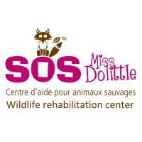 SOS Miss Dolittle 🦝 logo - Similar company to Agence De Bassin Versant Des 7