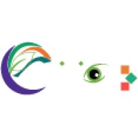 E-Vision Software Limited logo - Similar company to Falcon Technology