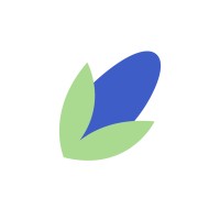 Vidana logo - Similar company to Blacktrust