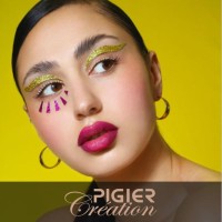 Pigier Création logo - Similar company to Emsca