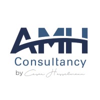 AMH Consultancy logo - Similar company to Amh Consulting