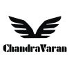 Chandra Varan Aerologistix Pvt. Ltd. logo - Similar company to Hostinger Services