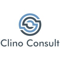 Clino Consult b.v. logo - Similar company to Site Support Services Cis2
