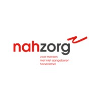 Bureau NAH Zorg: Specialist in NAH logo - Similar company to Professionals In Nah - Nah Werktraject