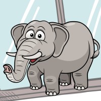 🪟 The Elephant in the Window Leadership logo - Similar company to Procurement Executives Community