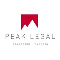 PEAK LEGAL logo - Similar company to Finvision