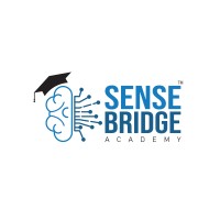 Sense Bridge Academy logo - Similar company to Senseacademy Of Technology