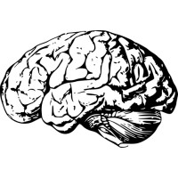 Namy.ai logo - Similar company to Peanut 🥜