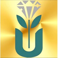 Kumudu Software Solution logo - Similar company to Bitbees