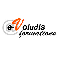 E-VOLUDIS logo - Similar company to Office Et Vous