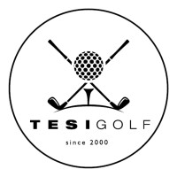 Tesi-Golf.de logo - Similar company to Steinau Kg