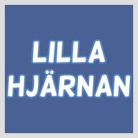 Lilla Hjärnan logo - Similar company to Telways