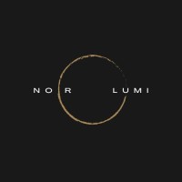 NOIR LUMI logo - Similar company to Lumi Mojo