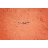 The Wonderspace logo - Similar company to Mai Main Canggu