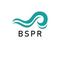 BSPR LLC logo - Similar company to Festively Decor