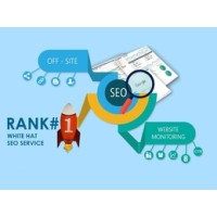 SEO Freelancer in Delhi Noida Gurgaon logo - Similar company to Qualityguestpostweb