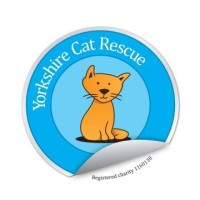 Yorkshire Cat Rescue