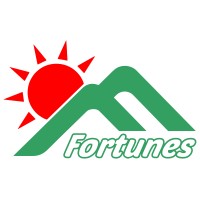 Fortunes Group logo - Similar company to Kommodity Konnect