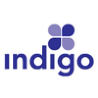Indigo Forward logo - Similar company to Satoshi Solutions