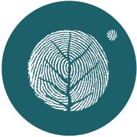 One Brave Step logo - Similar company to Bbm Ltd