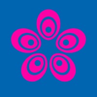 Bloom Studio logo - Similar company to Lemi Design