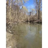 Non active business logo - Similar company to The Mastermind City