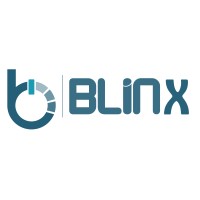 Blinx India Pvt. Ltd. logo - Similar company to Golden Locks