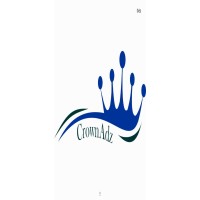 CrownAdz Digital Marketing Limited logo - Similar company to Chameleonads