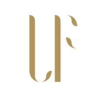 Linking Forward logo - Similar company to Czardom