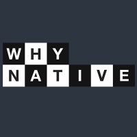 Why Native logo - Similar company to Version Two