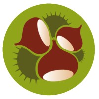 Mastrogregori Aldo Srl logo - Similar company to Saim Postharvest Technologies