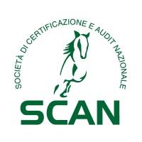 SCAN srl logo - Similar company to E.S.H.Q. Consulting Srl