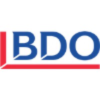 BDO Professional Services logo - Similar company to Andersen In Nigeria
