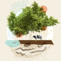 Living Soils Symposium Montreal / Symposium Sols Vivants Montréal logo - Similar company to Material Innovation Center