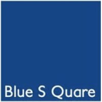 BLUE S QUARE logo - Similar company to Dvice