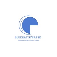 BlueHat Synapse logo - Similar company to Bluehat