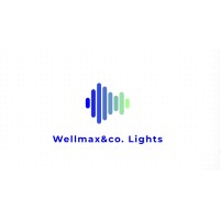 Wellmax&Co. logo - Similar company to Wellmax Brasil