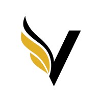 Victor Strategies logo - Similar company to Peerly