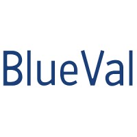 BlueVal logo - Similar company to Ar Spruce Llc