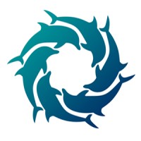 It Studio Dolphin