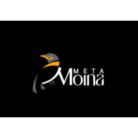Meta Moina logo - Similar company to Quanta Systems