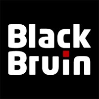 Black Bruin logo - Similar company to Risutec