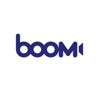 Boom.Rocks logo - Similar company to Wezmart Consulting