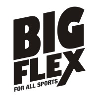 Big Flex logo - Similar company to Enfinityenergy