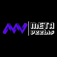 metaveebis logo - Similar company to Salesbutlers