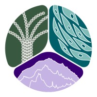 UW Neurobiology & Biophysics logo - Similar company to Destination Science