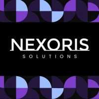 Nexoris Solutions logo - Similar company to Techbox Solutions